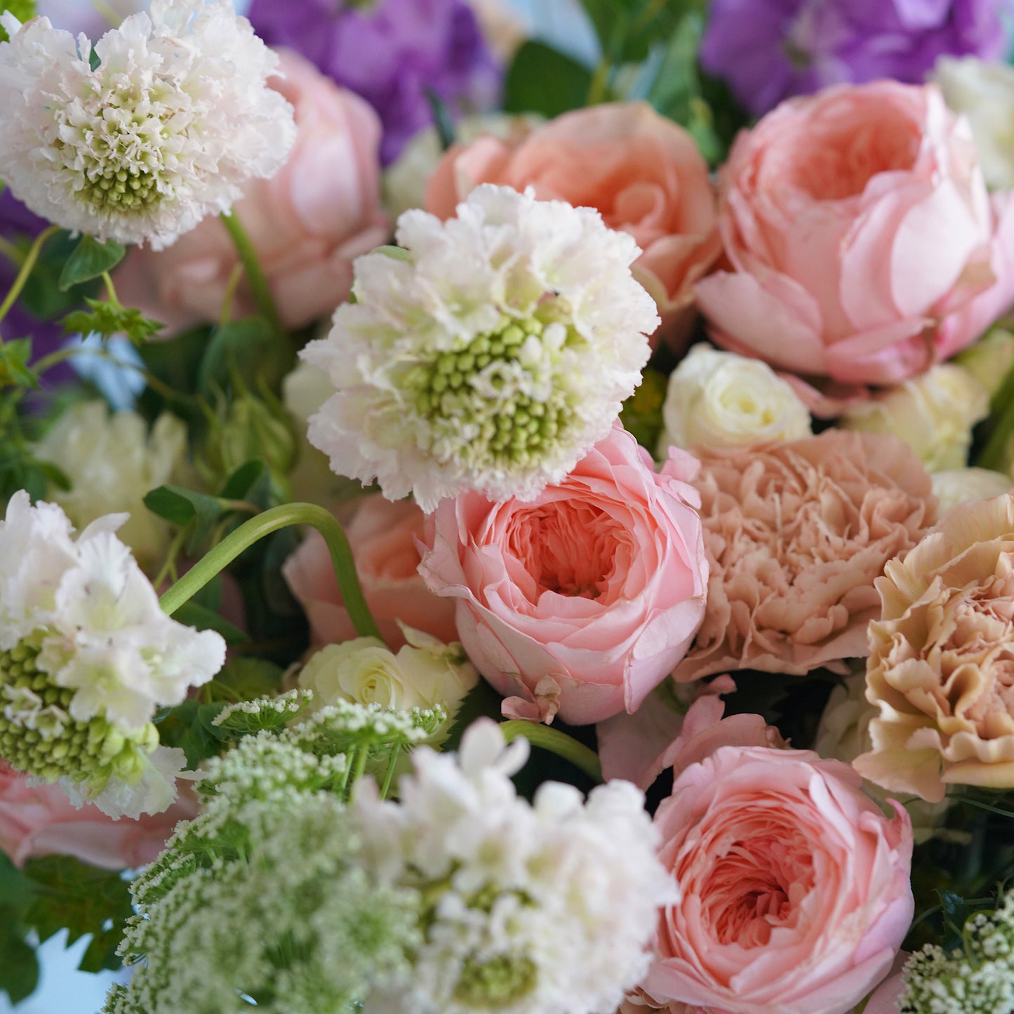 Forest Garden Roses - early Summer Bouquet